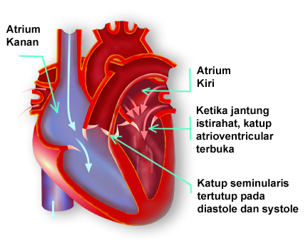 gagal jantung
